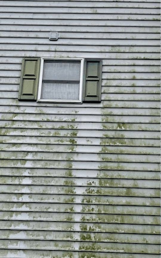 Weathered horizontal siding with green shutters window and moss stains