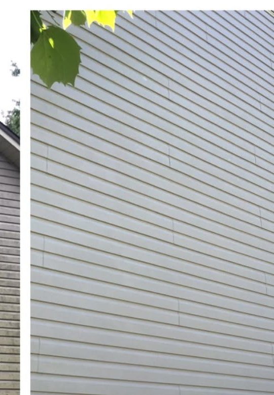 Light gray horizontal vinyl siding on exterior wall with white trim and green foliage at top