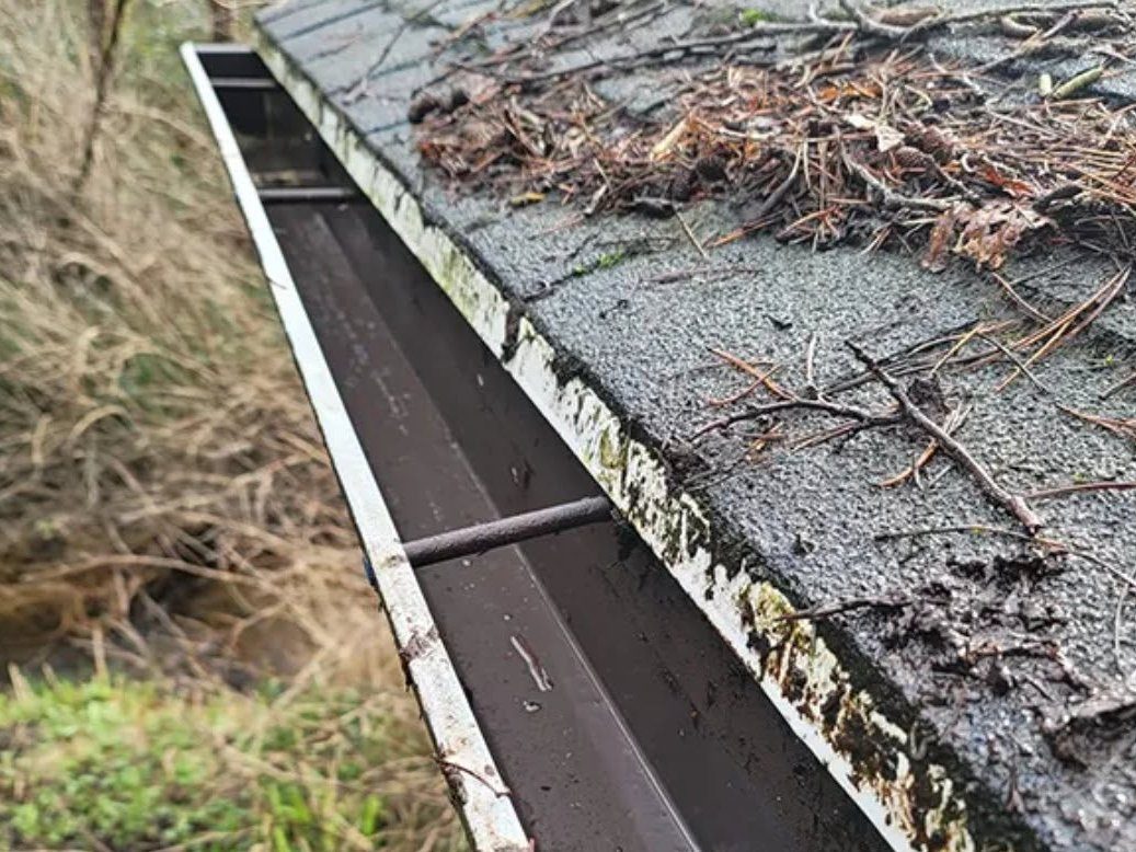 Clogged roof gutter filled with debris and pine needles next to asphalt shingles