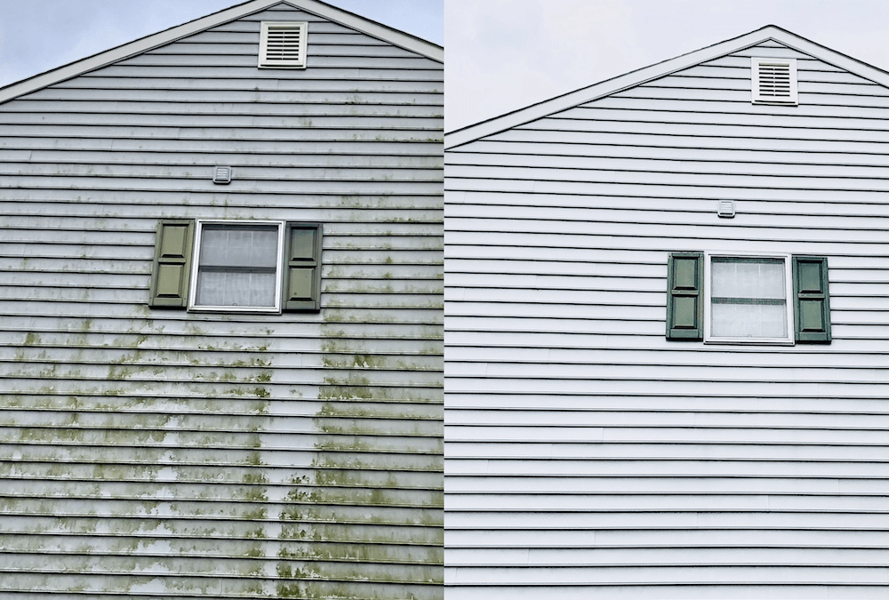 What am I seeing on my outside home siding?